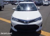 Toyota Axio 1,3L 2019